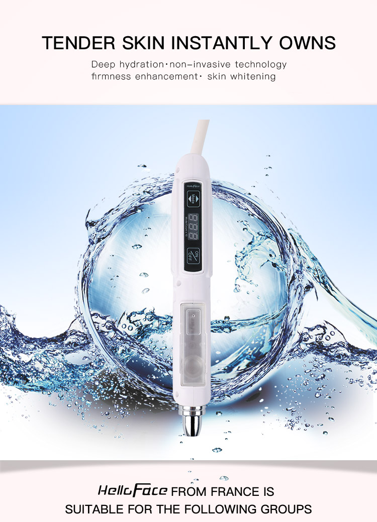 2-in-1 Mesotherapy Injector with Cryo Ice Hammer & Microcurrent
