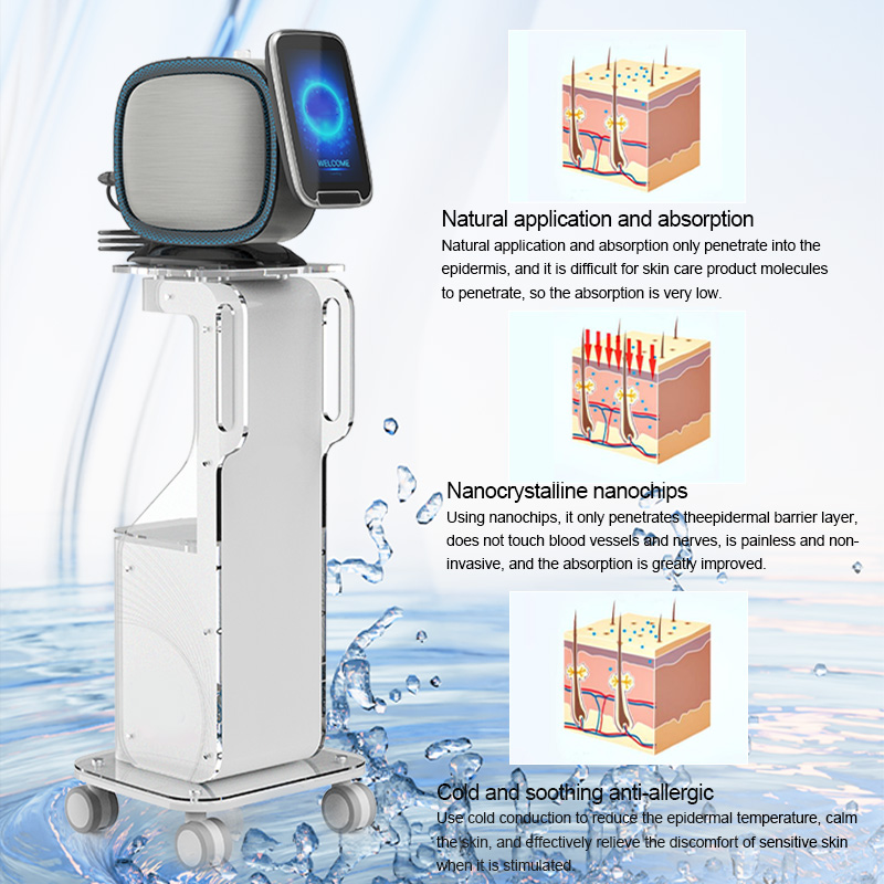 2Professional Nano Mesotherapy Sprayer for Skin Rejuvenation